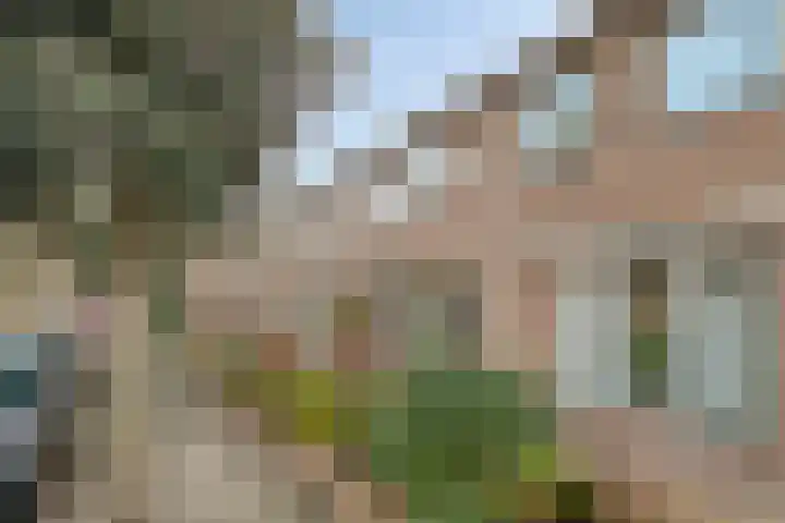 Havendwarsstraat 4 Noordwijkerhout thumbnail 6