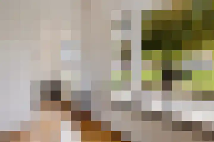 Havendwarsweg 1 Uithuizen thumbnail 16