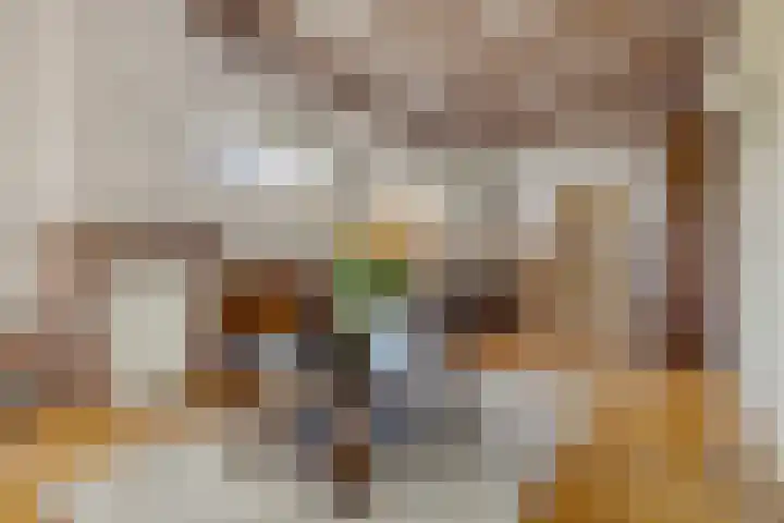 Havendwarsweg 1 Uithuizen foto 2