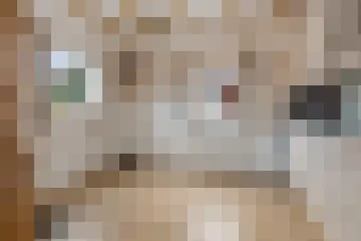 Havendwarsweg 1 Uithuizen thumbnail 20