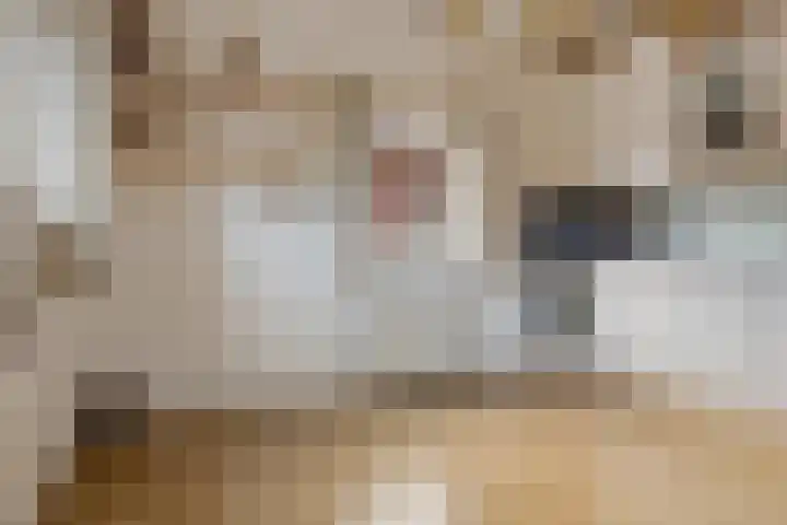 Havendwarsweg 1 Uithuizen thumbnail 21