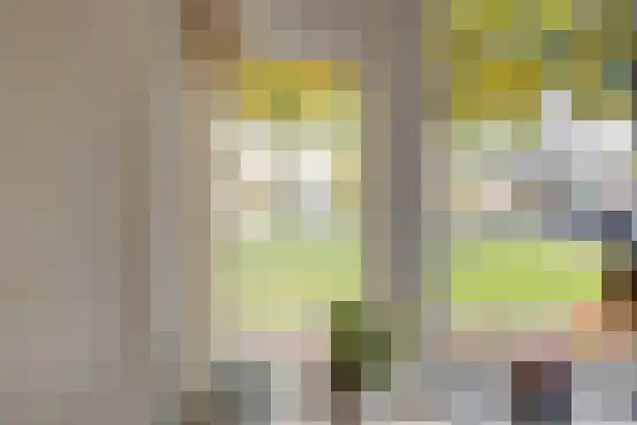 Havendwarsweg 1 Uithuizen thumbnail 27