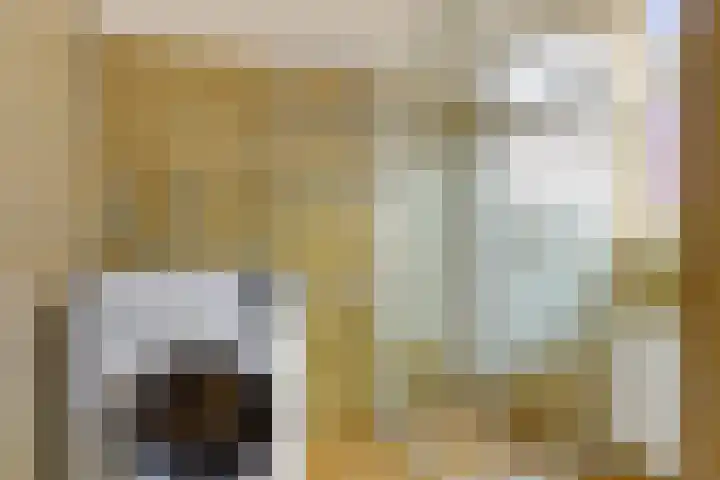 Havendwarsweg 1 Uithuizen thumbnail 28