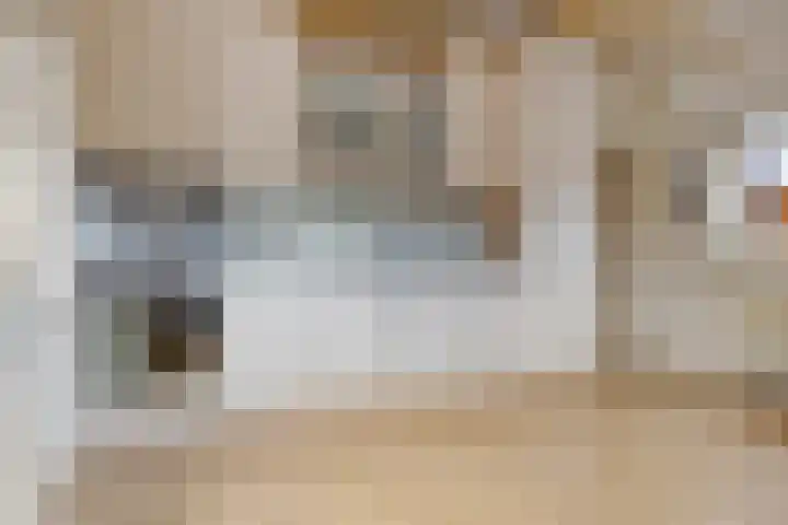 Havendwarsweg 1 Uithuizen foto 3