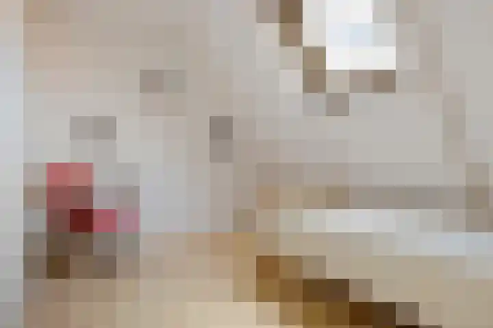 Havendwarsweg 1 Uithuizen thumbnail 35