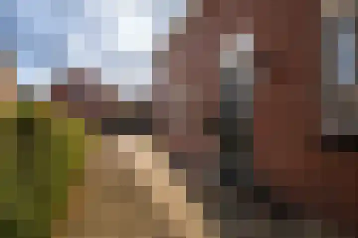 Havendwarsweg 15 Uithuizen thumbnail 13