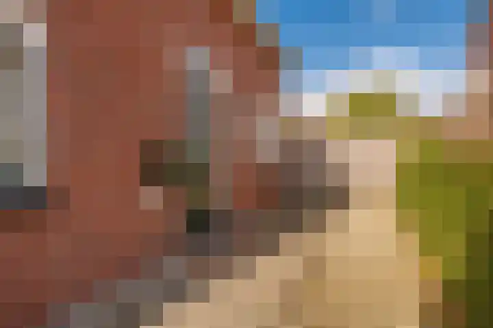 Havendwarsweg 15 Uithuizen thumbnail 14