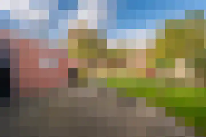 Havendwarsweg 15 Uithuizen thumbnail 17