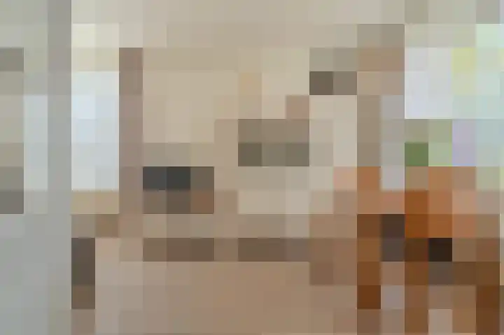 Havendwarsweg 15 Uithuizen thumbnail 31