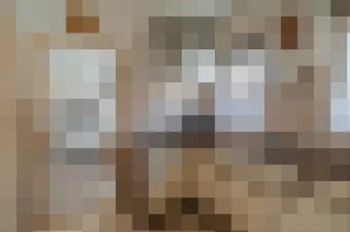 Havendwarsweg 15 Uithuizen thumbnail 33