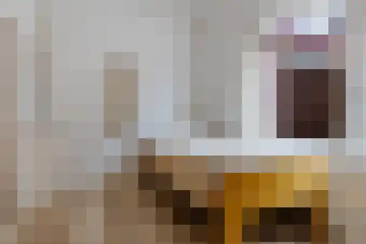 Havendwarsweg 3 Uithuizen thumbnail 18
