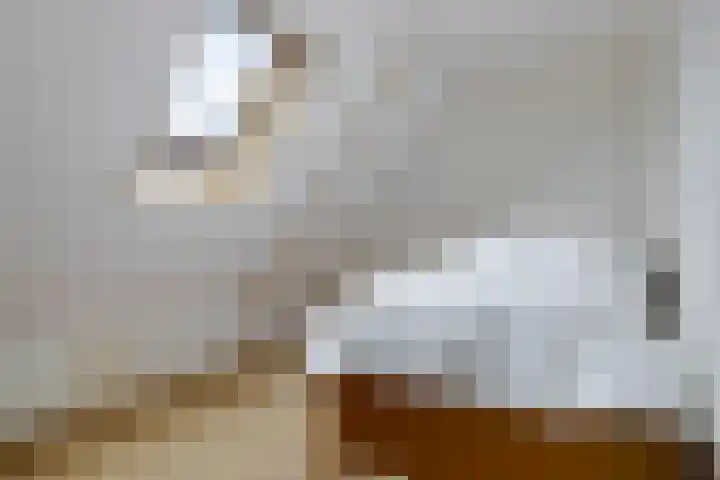 Havendwarsweg 3 Uithuizen thumbnail 26