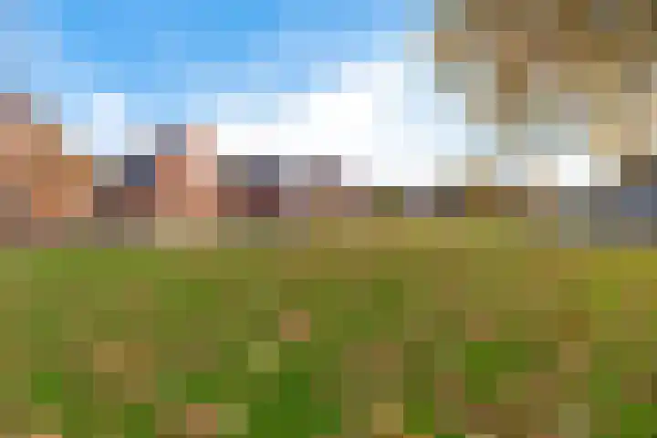 Havendwarsweg 3 Uithuizen thumbnail 29