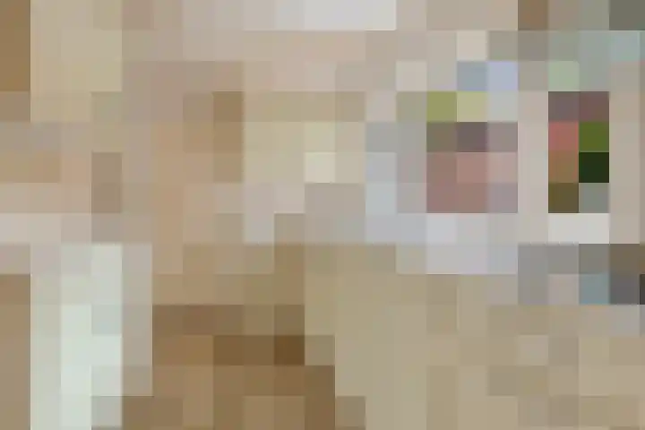 Havendwarsweg 3 Uithuizen foto 3