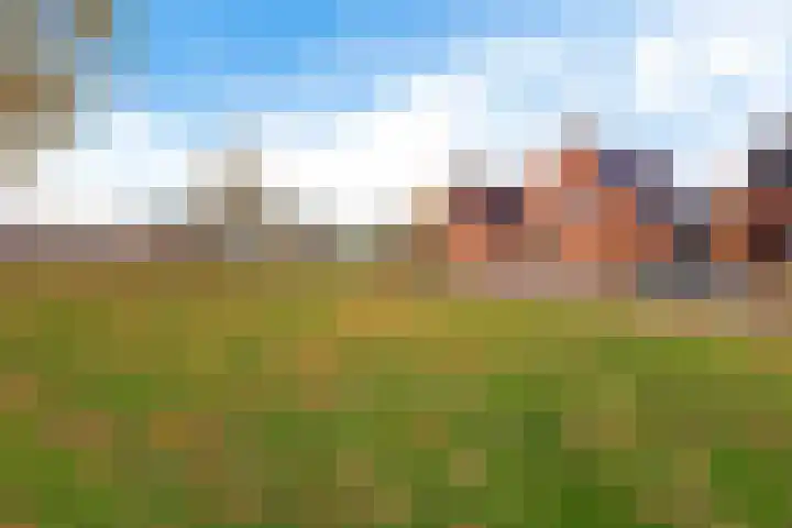 Havendwarsweg 3 Uithuizen thumbnail 4