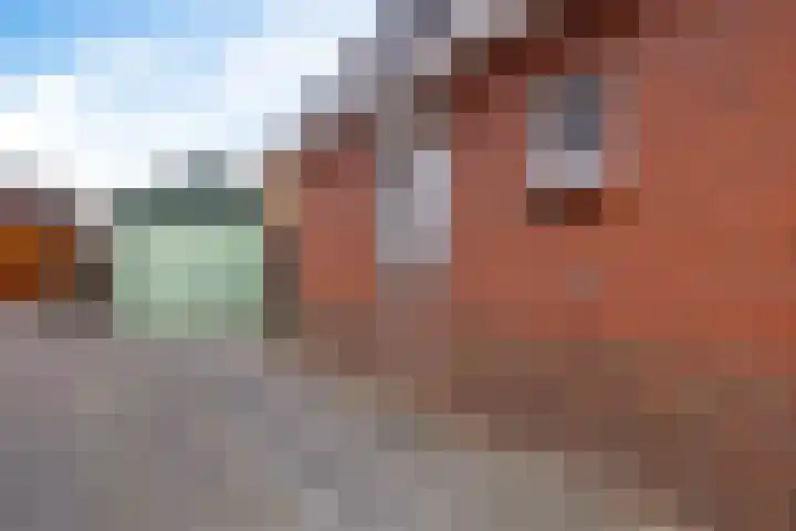 Havendwarsweg 3 Uithuizen thumbnail 6