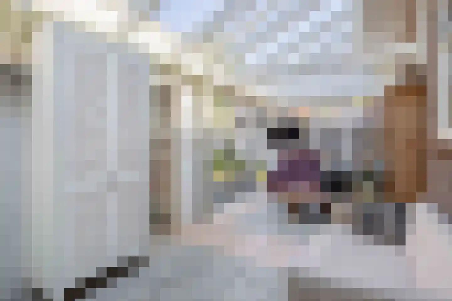 Haveneind 14 Goedereede thumbnail 11