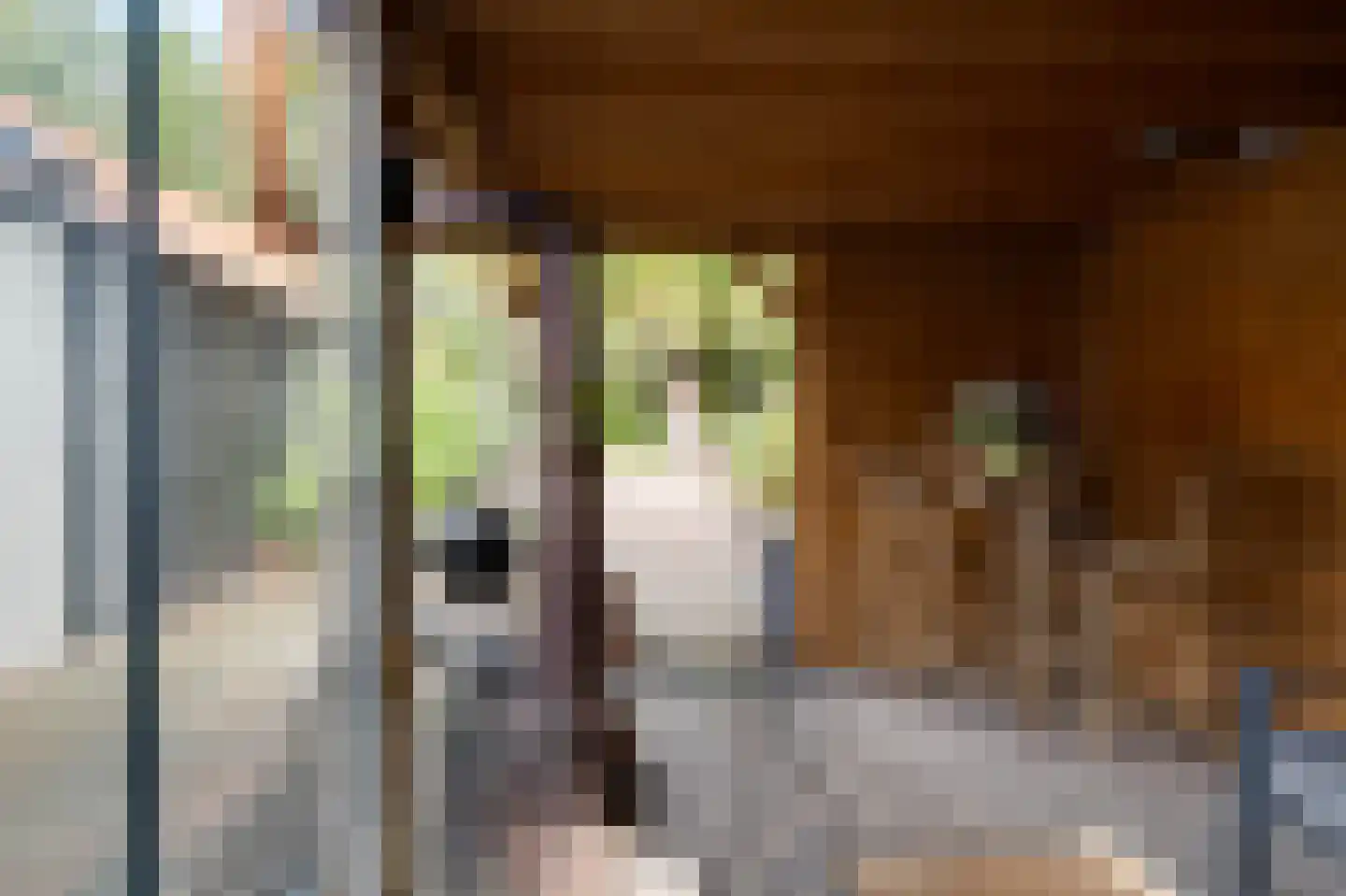 Haveneind 9 Goedereede thumbnail 33