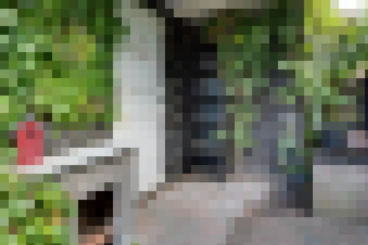 Haveneind 9 Goedereede thumbnail 38