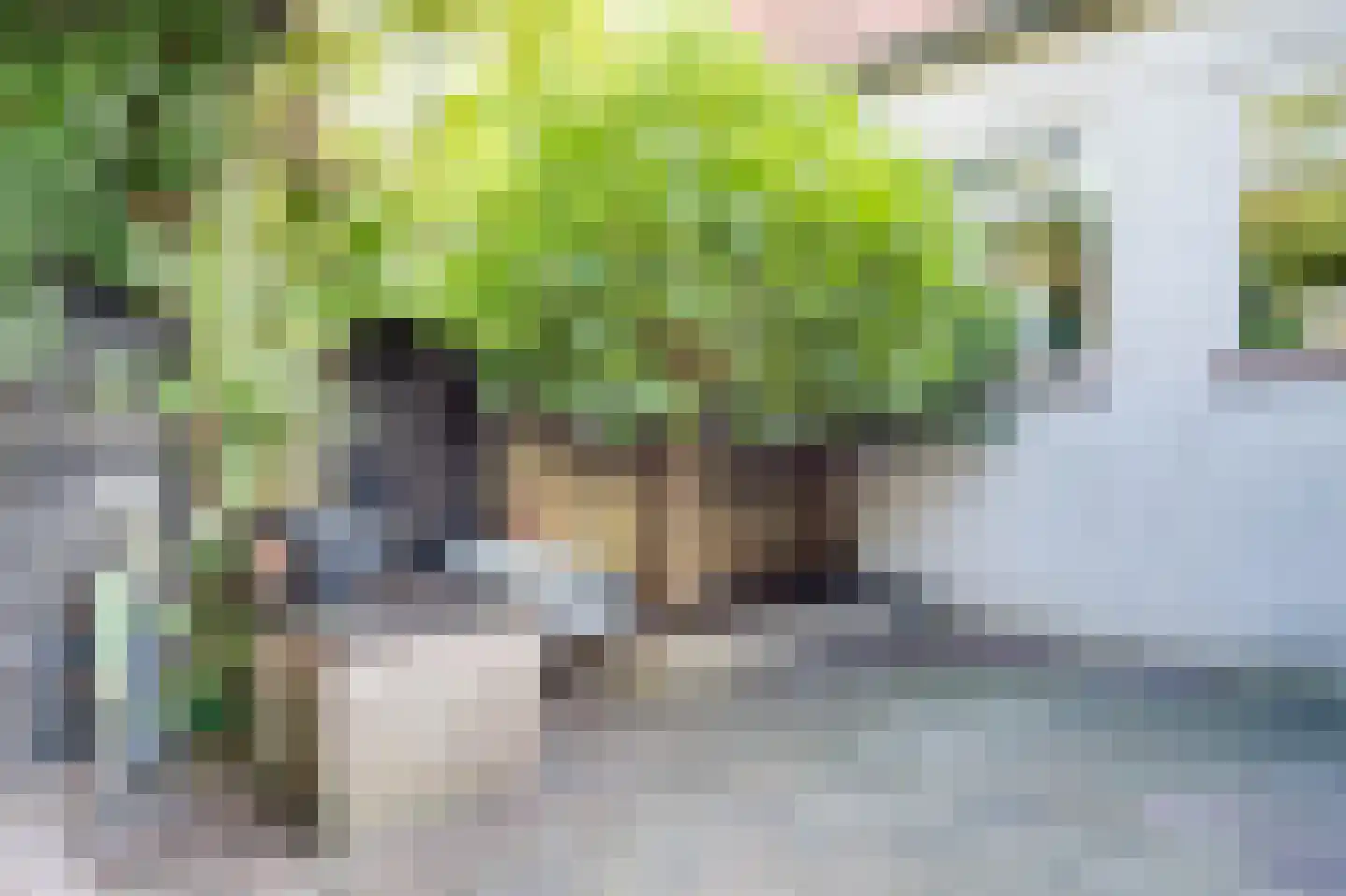 Haveneind 9 Goedereede thumbnail 39