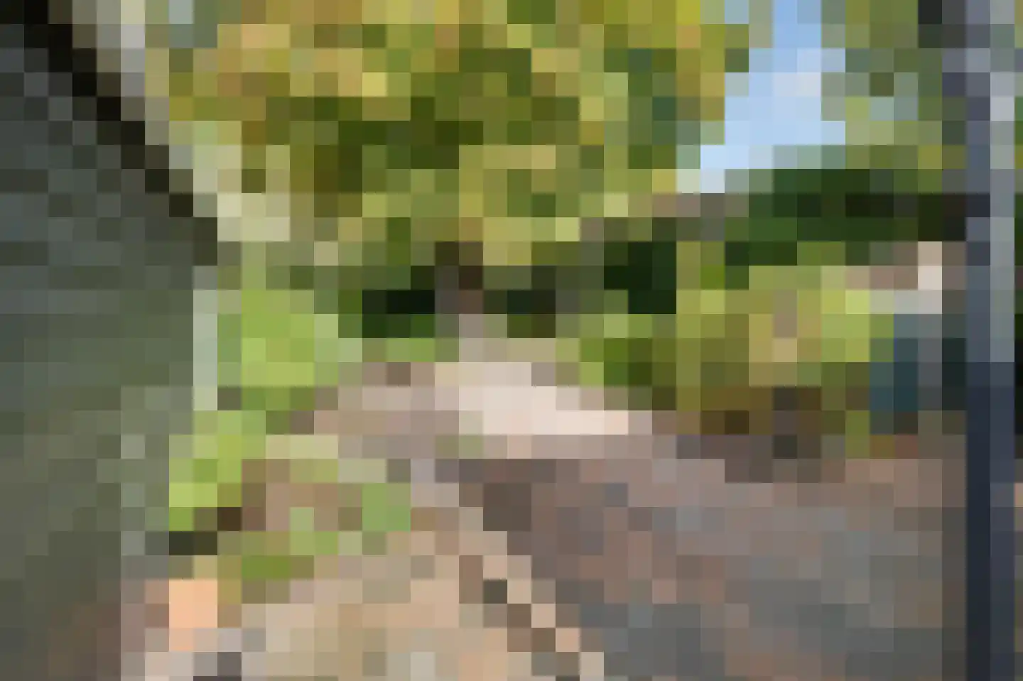 Haveneind 9 Goedereede thumbnail 41