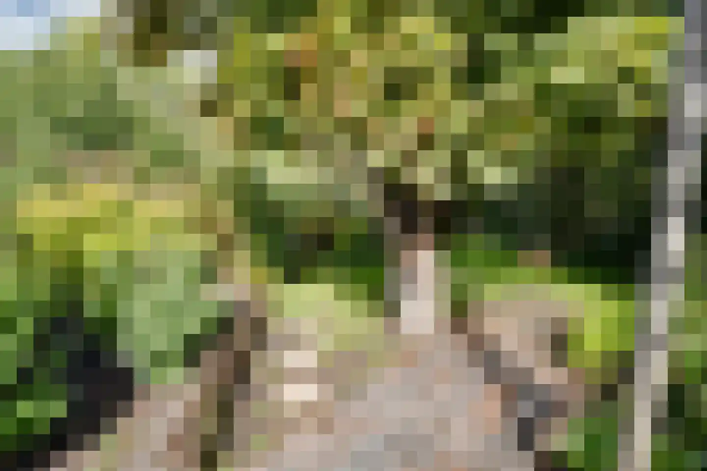 Haveneind 9 Goedereede thumbnail 42