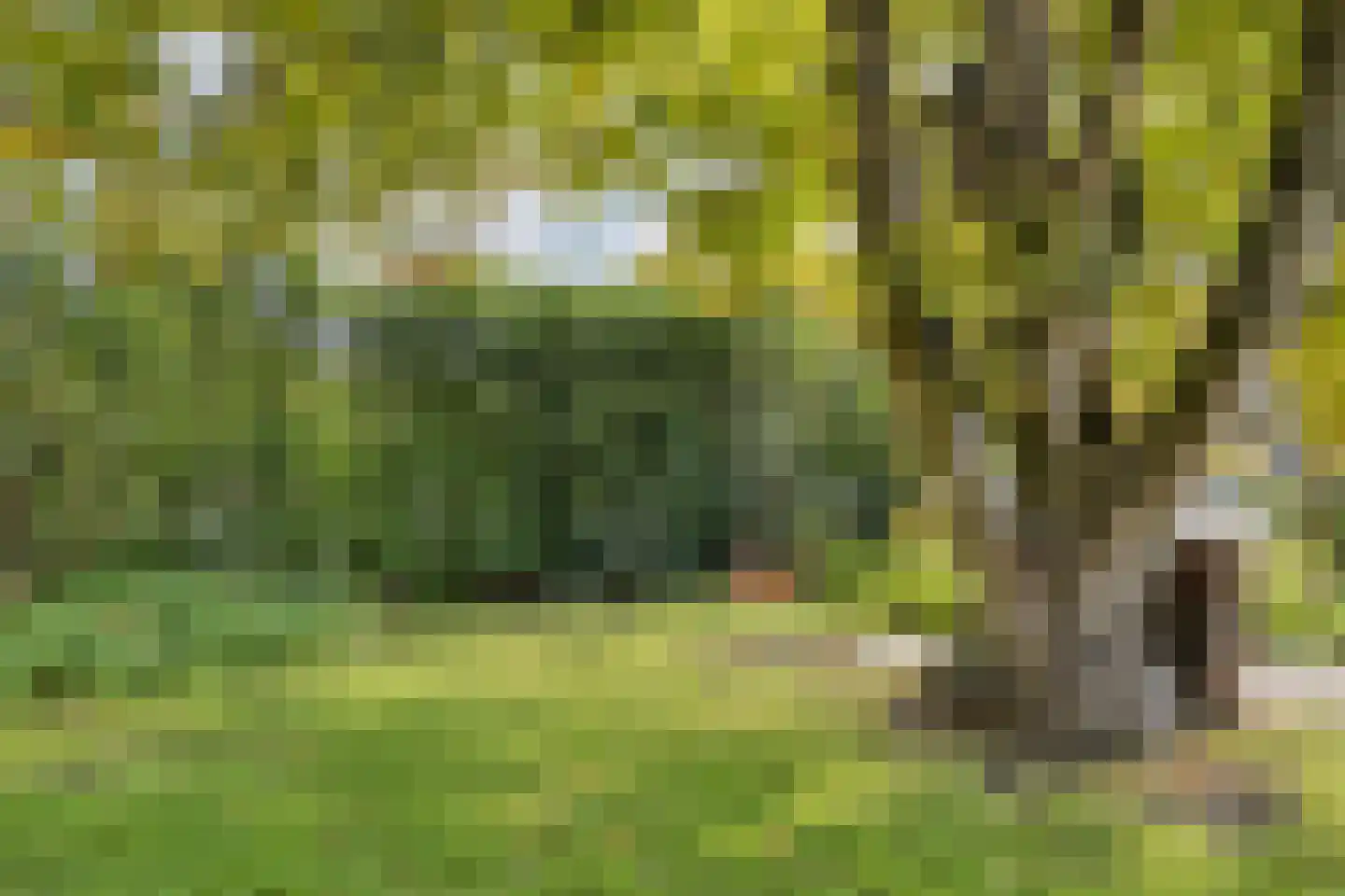 Haveneind 9 Goedereede thumbnail 43
