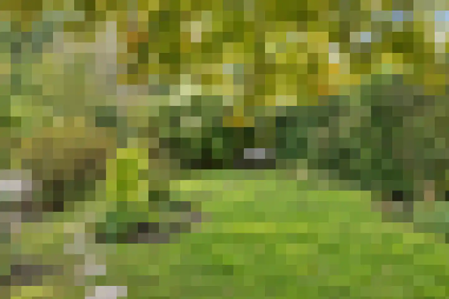 Haveneind 9 Goedereede thumbnail 44
