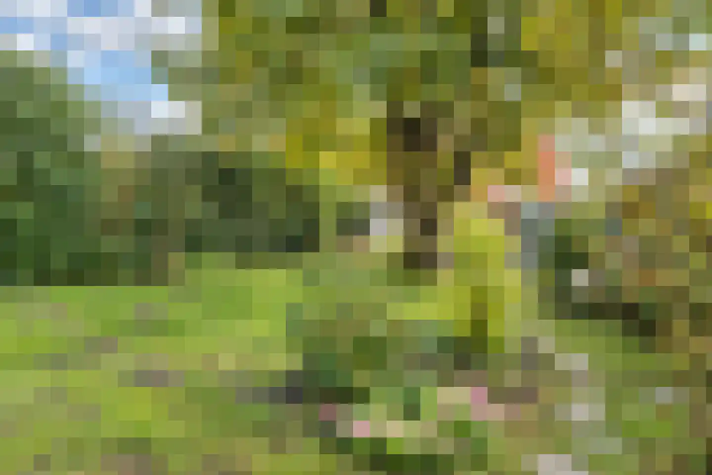 Haveneind 9 Goedereede thumbnail 45