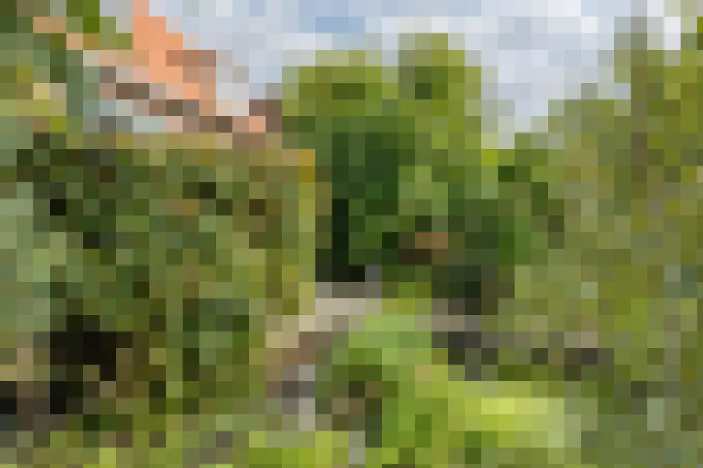 Haveneind 9 Goedereede thumbnail 47
