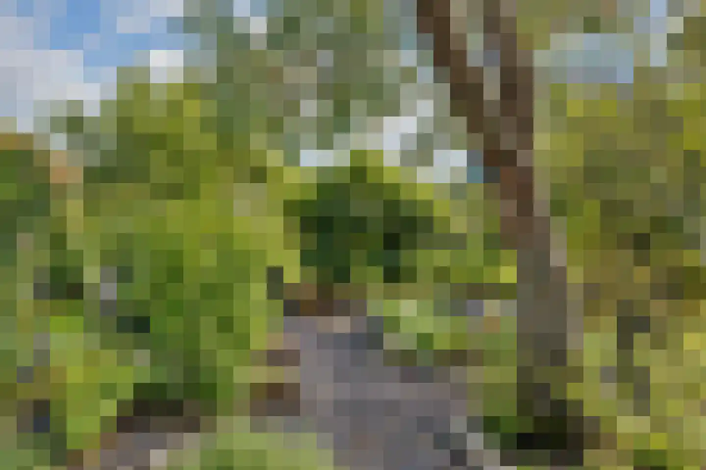 Haveneind 9 Goedereede thumbnail 48