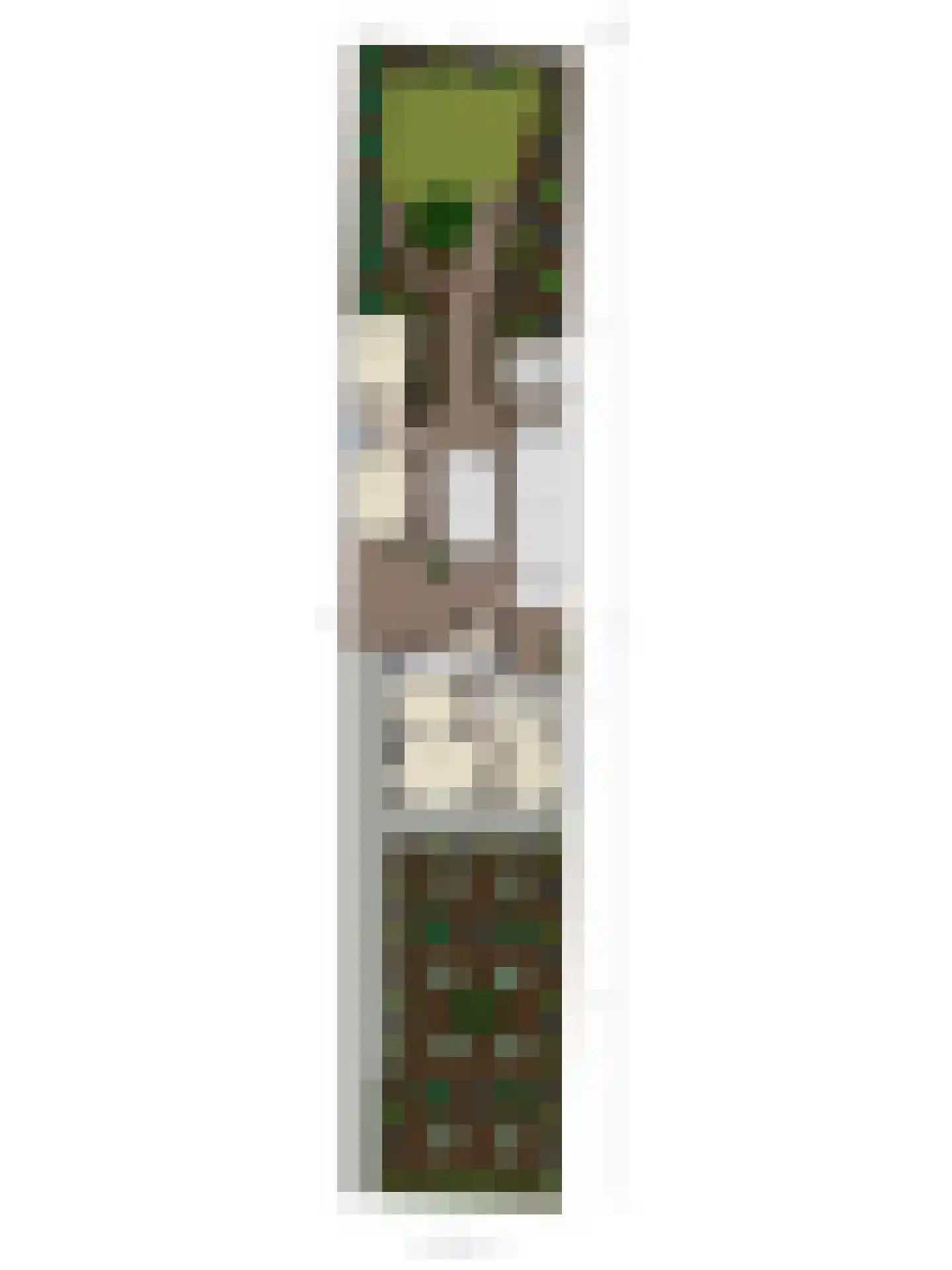 Haveneind 9 Goedereede thumbnail 60