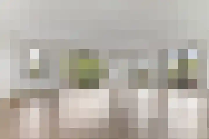 Havenhoofd 20 Oudenbosch thumbnail 10