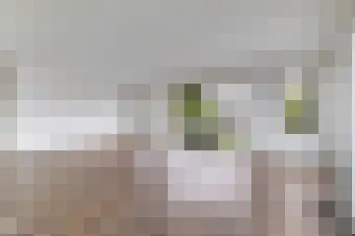 Havenhoofd 20 Oudenbosch thumbnail 11