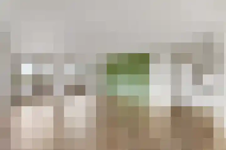 Havenhoofd 20 Oudenbosch thumbnail 13