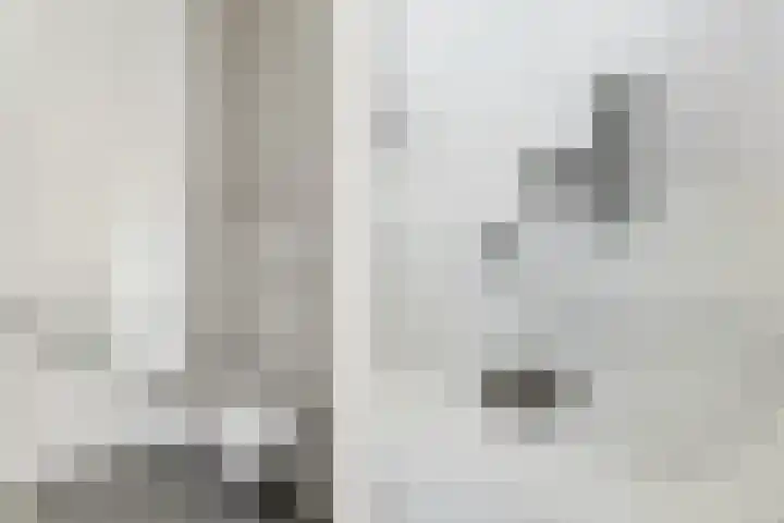 Havenhoofd 20 Oudenbosch thumbnail 5