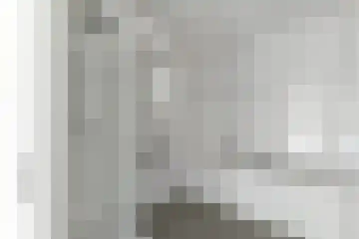 Havenhoofd 20 Oudenbosch thumbnail 6