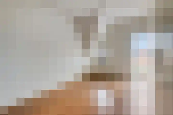 Havenhoofd 32 Oudenbosch thumbnail 21