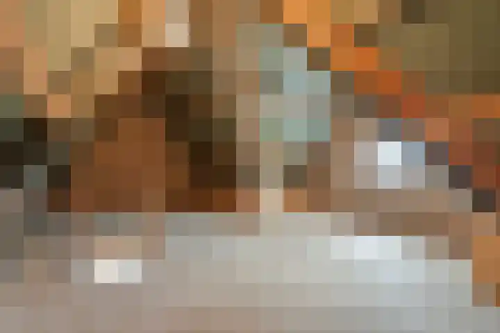Havenhoofd 32 Oudenbosch thumbnail 28