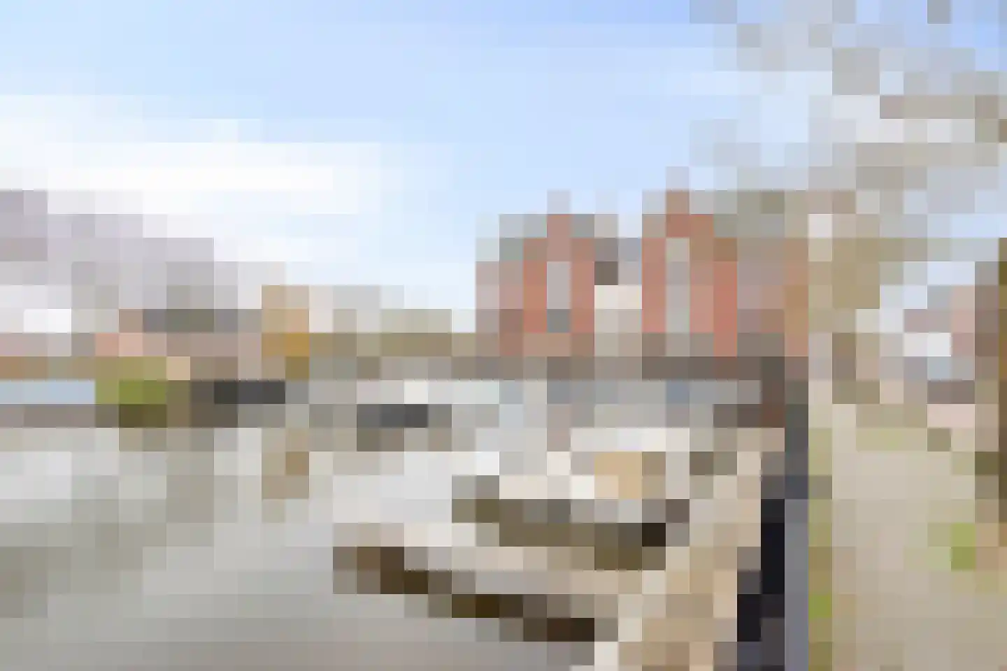Havenhoofd 32 Oudenbosch thumbnail 34