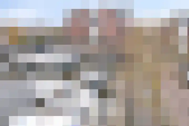 Havenhoofd 32 Oudenbosch thumbnail 35