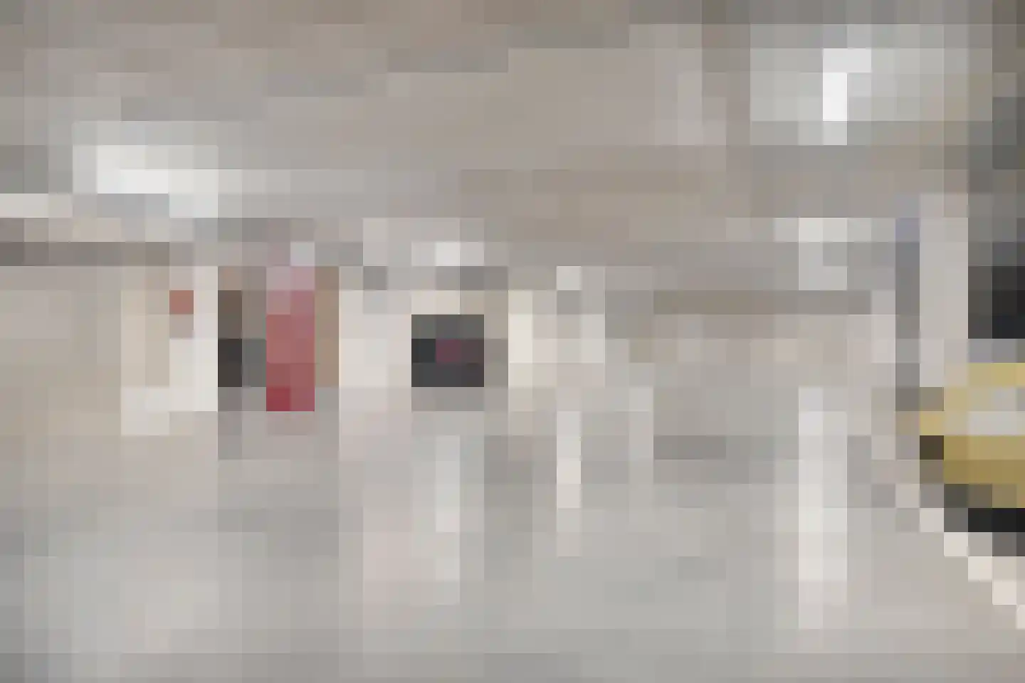 Havenhoofd 4 Oudenbosch thumbnail 23