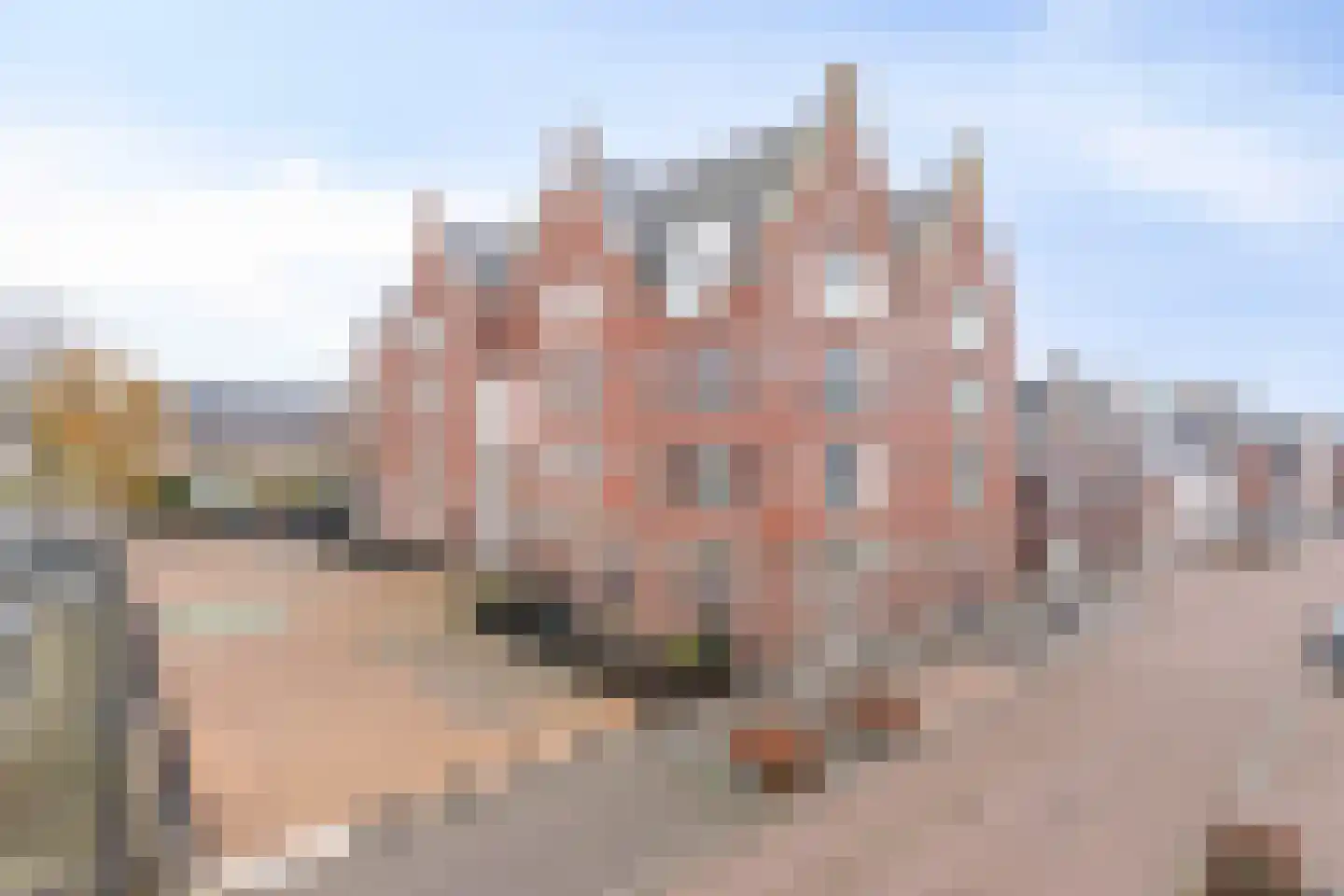 Havenhoofd 4 Oudenbosch thumbnail 4