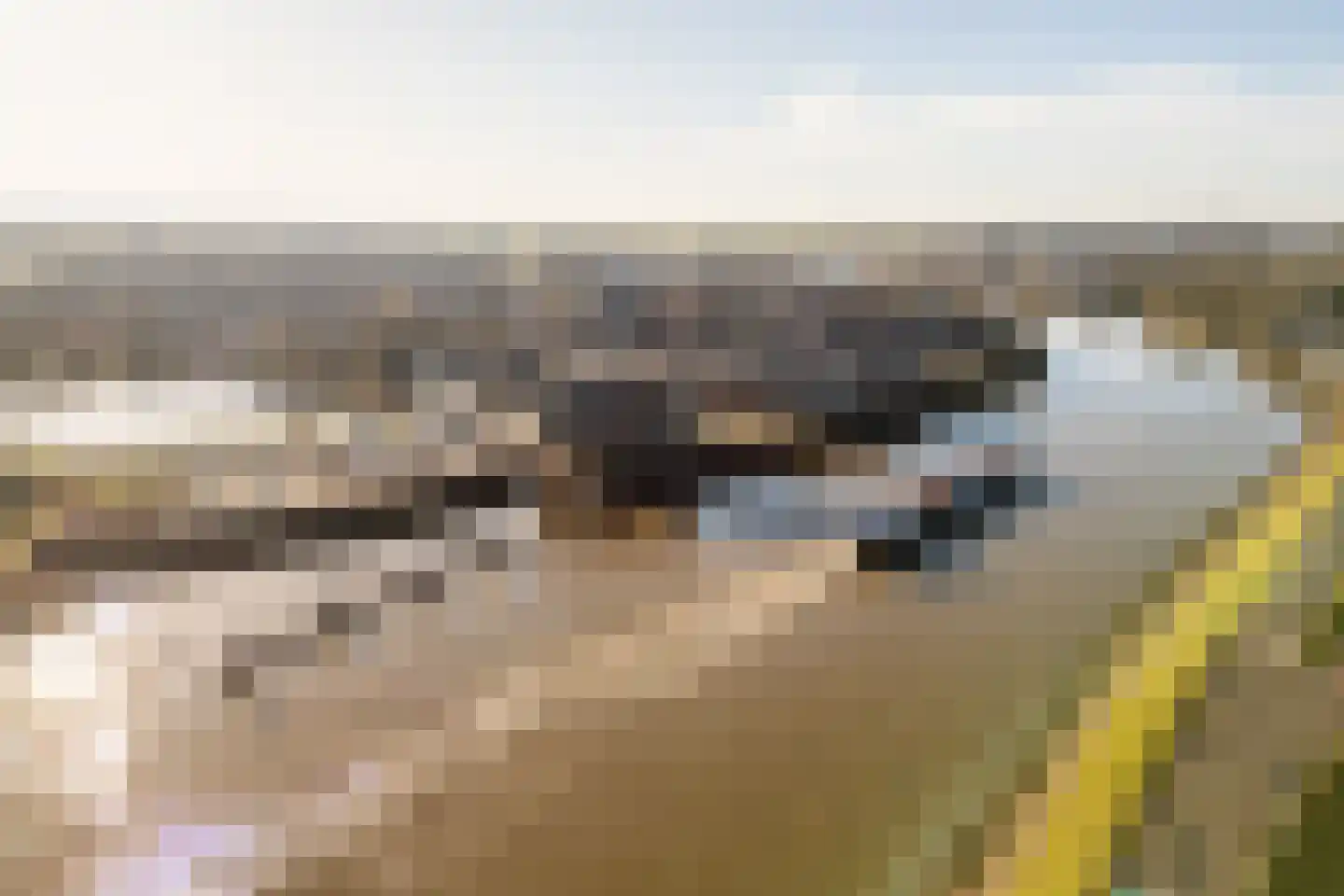 Havenhoofd 9 Gouderak thumbnail 29
