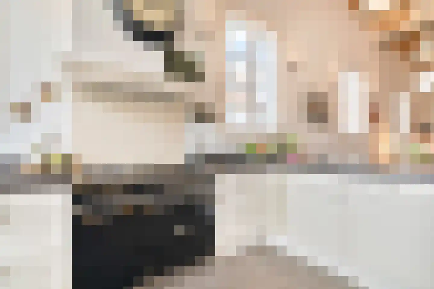 Havenkade 19 Den Haag thumbnail 17