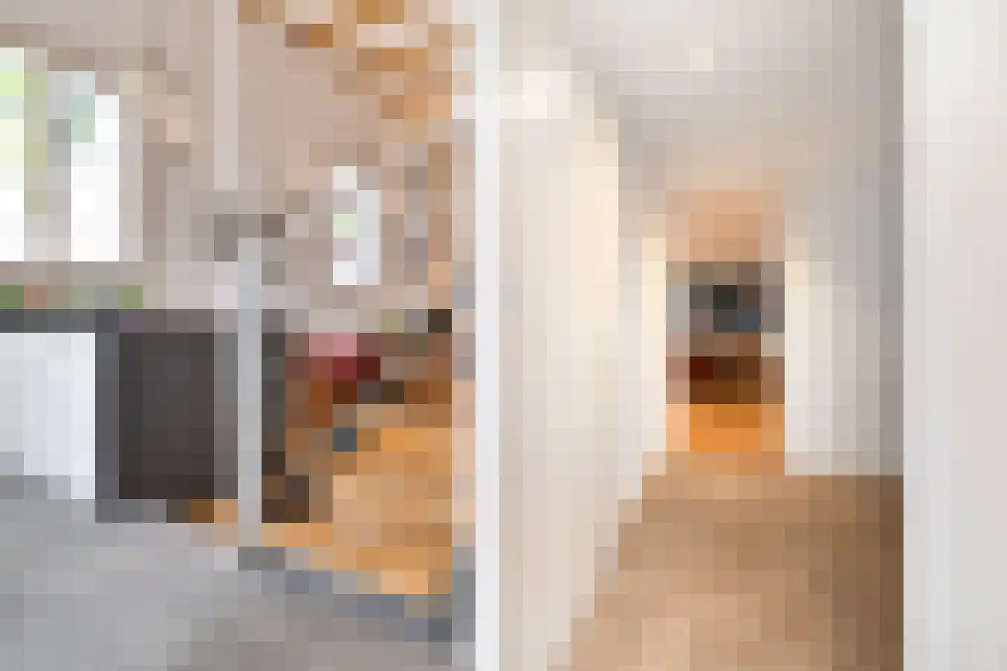 Havenkade 19 Den Haag thumbnail 9