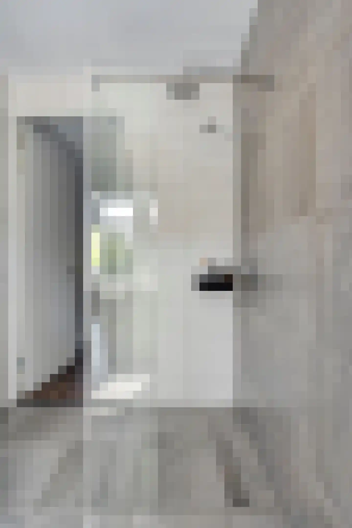 Havenkade 19 Middelharnis thumbnail 22