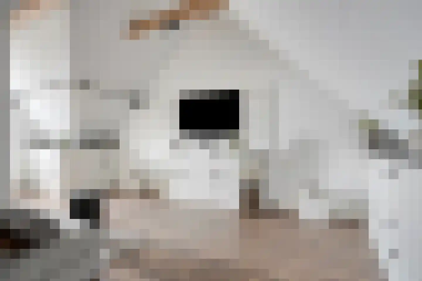 Havenkade 19 Middelharnis thumbnail 24
