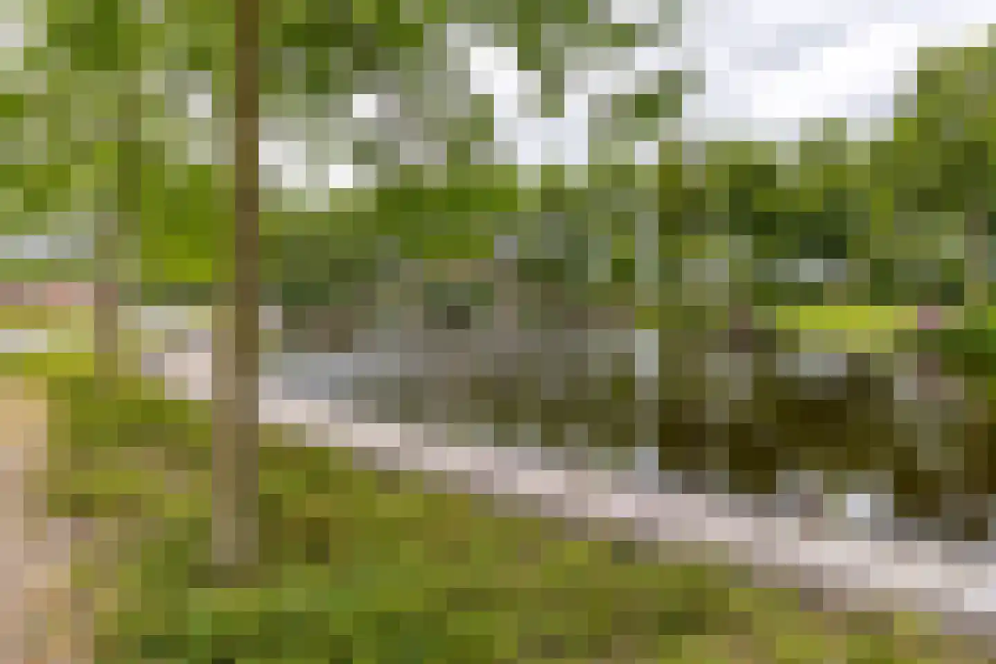 Havenkade 25 Musselkanaal thumbnail 4
