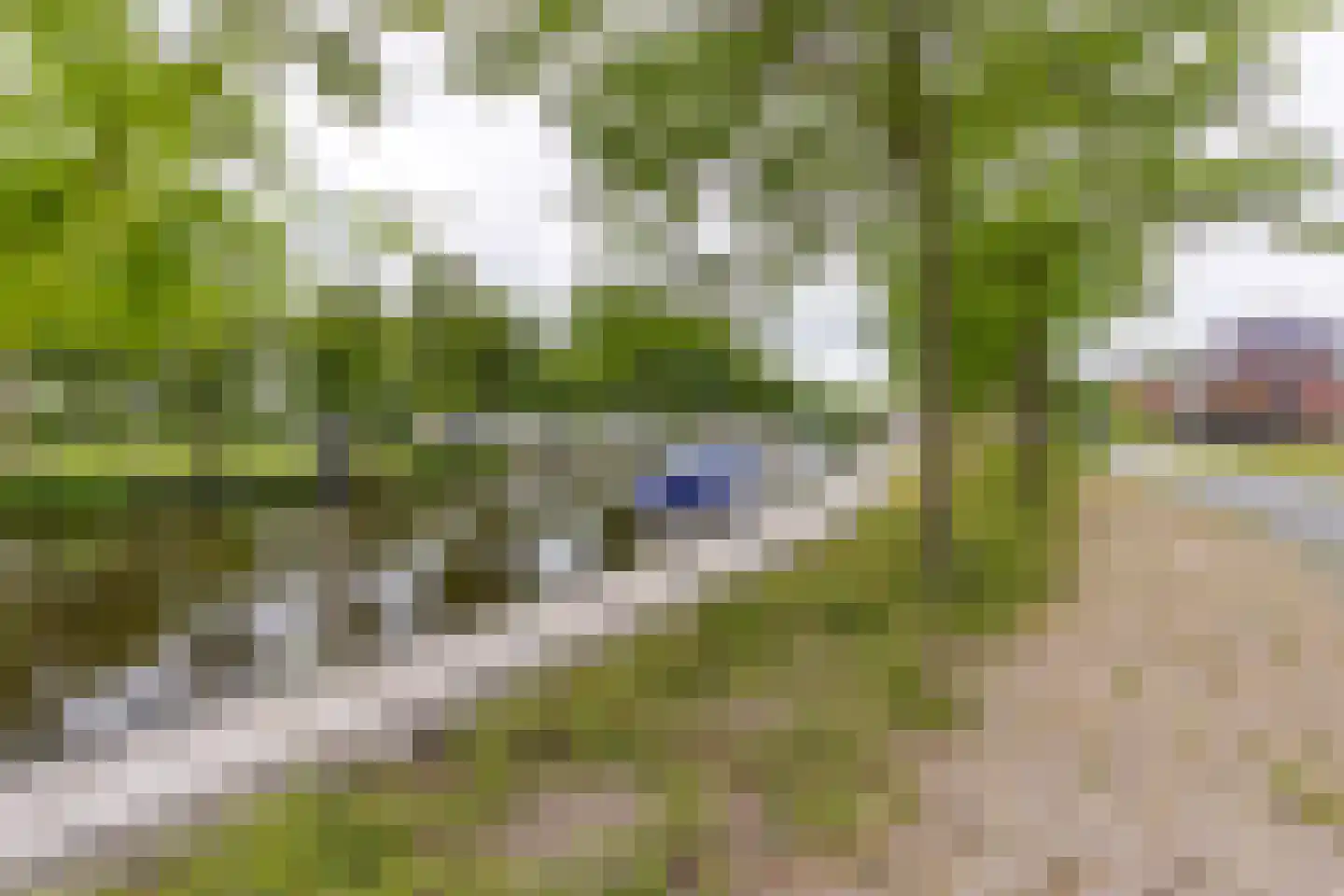 Havenkade 25 Musselkanaal thumbnail 5